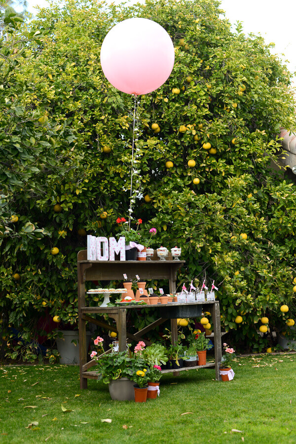 Mother's day garden ideas cheap